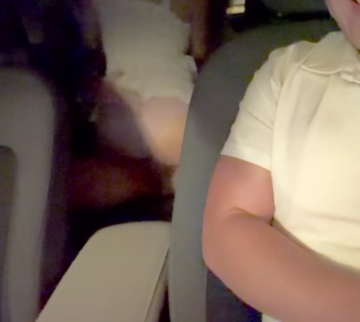 6419d945fc2987428b71430f691d2b9dfdbf12e5875c8c37301822690bf7464c thumbnail